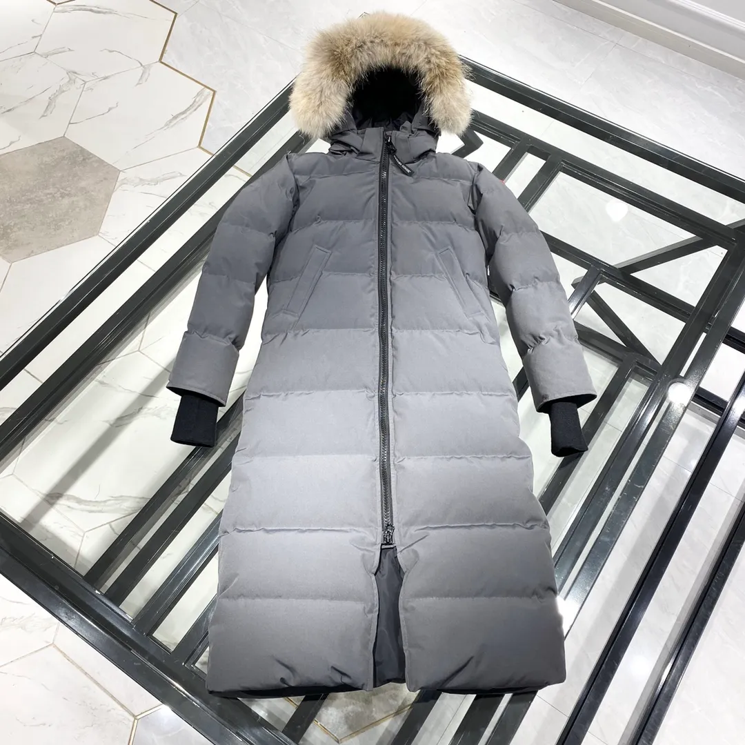 P860 Big Goose 22 Parka Parkas - Charcoal Gray Hanging Pattern Layout Display